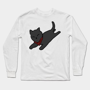 Flying Merlin Cat Long Sleeve T-Shirt